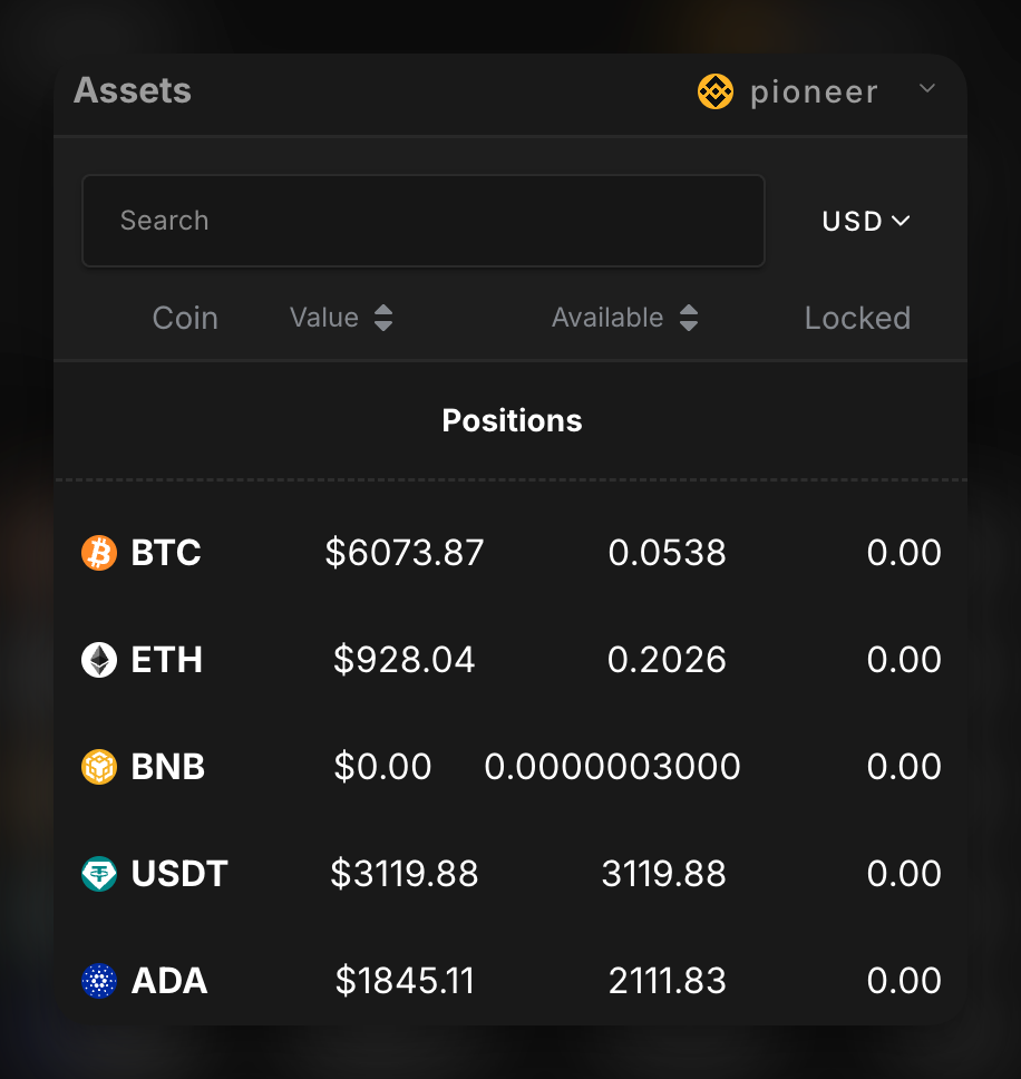 The Assets panel, showing a list of coins like BTC, ETH, and USDT with their corresponding values and available amounts